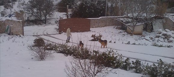 6 bedrooms Villa in Marathon, Greece No. 5261 6