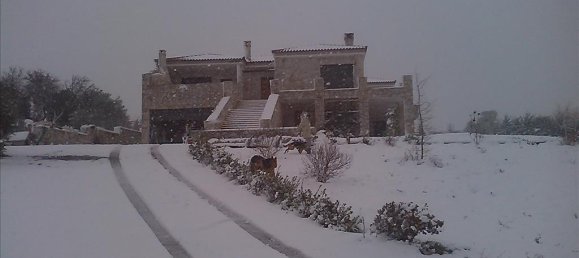 6 bedrooms Commercial property in Marathon, Greece No. 5261 4