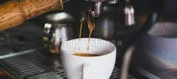 3 rooms Commercial property in Piacenza, Italy No. 223888 2