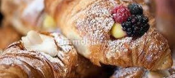 3 rooms Commercial property in Piacenza, Italy No. 223888 8