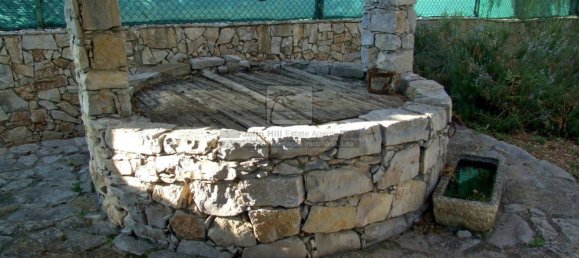 4 bedrooms House in Sao Bras de Alportel, Portugal No. 57322 12