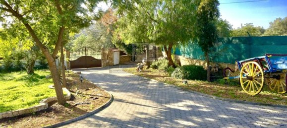 4 bedrooms House in Sao Bras de Alportel, Portugal No. 57322 7