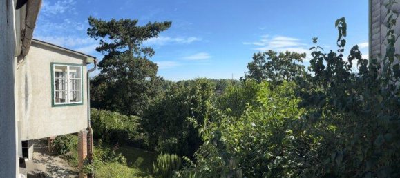 6-Zimmer Haus in Klosterneuburg, Austria, Nr. 218510 5