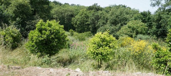 18 rooms House in Lerici, Italy No. 222857 17