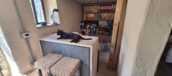 18 rooms House in Lerici, Italy No. 222857 31