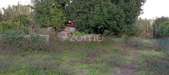 Terreno em Carapinheira, Portugal 2118 m² N.º 84134 16