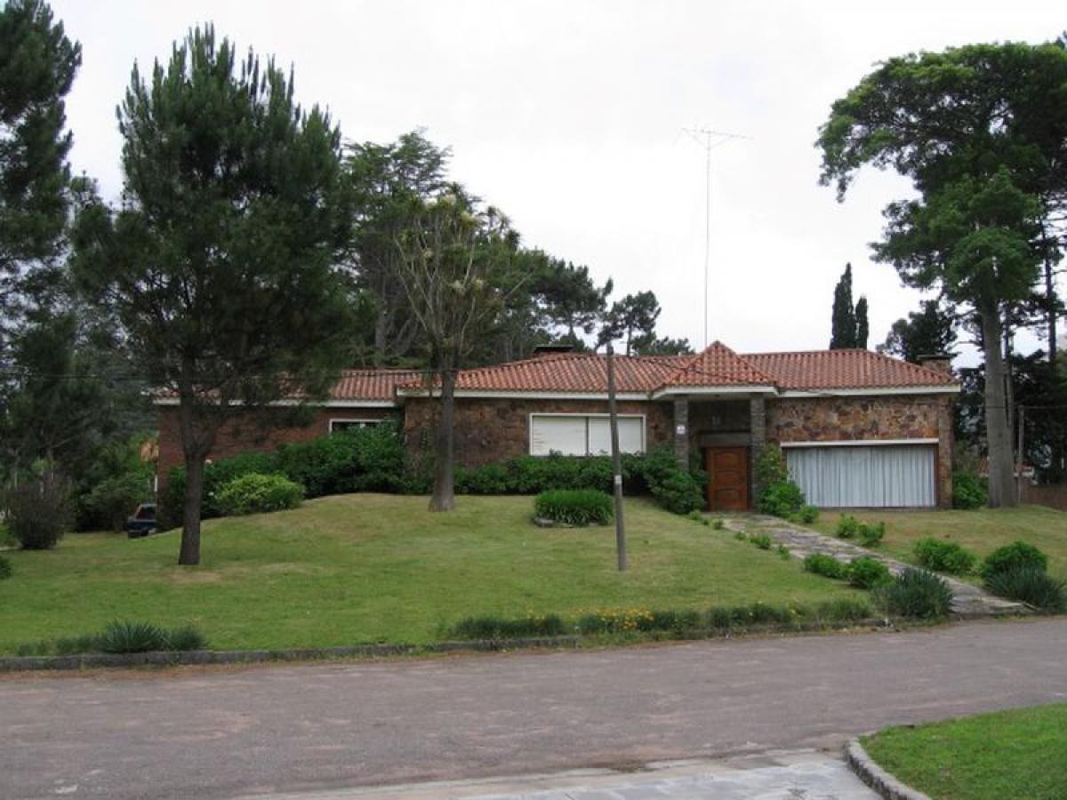 Studio in Maldonado, Uruguay No. 8971