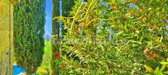 3 bedrooms Villa in Guardistallo, Italy No. 121164 16