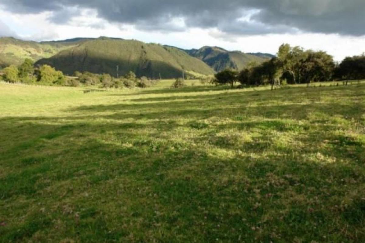 Estudio en Cundinamarca, Colombia No. 8671