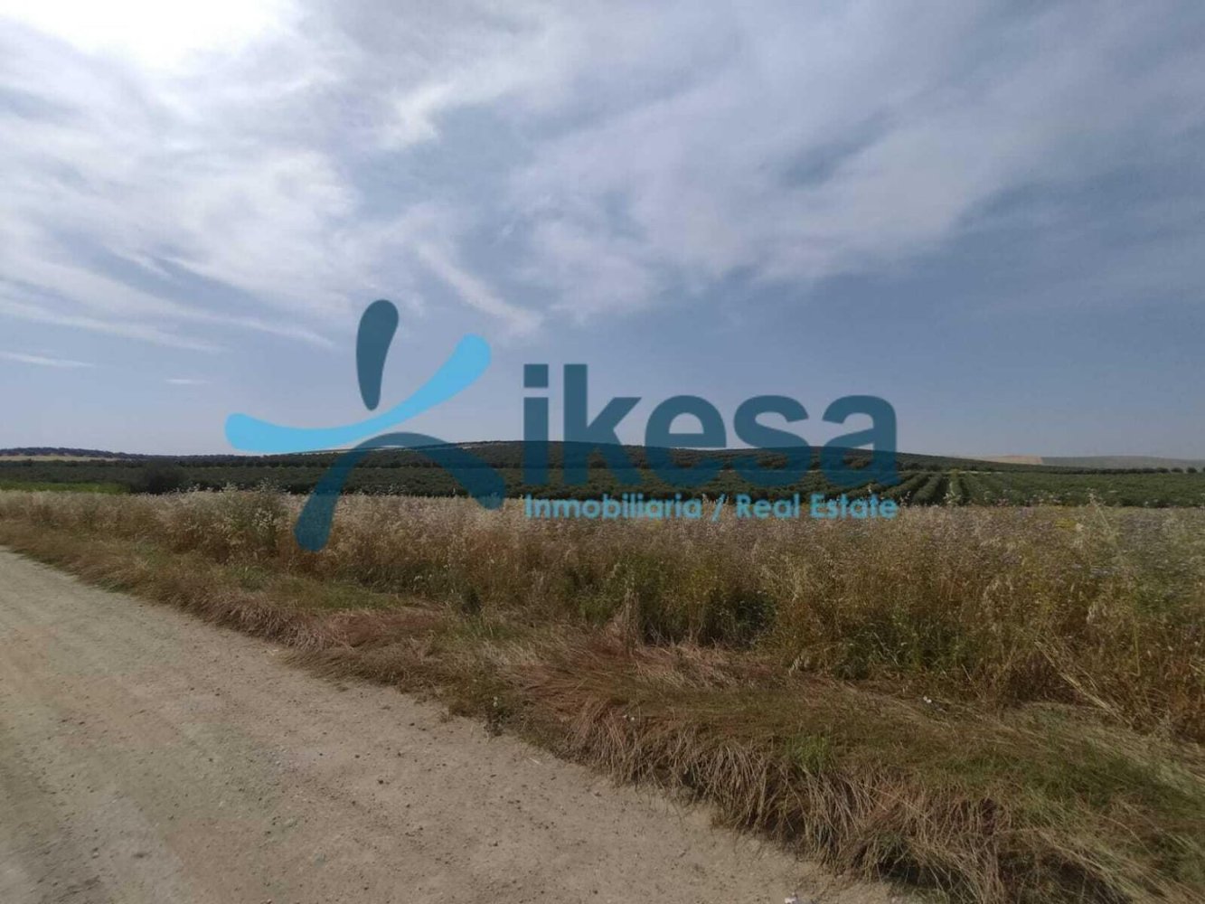  Land in Cordoba, Spain No. 209890