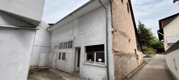 Здание с 5 комнатами в Ортенау, Германия № 51213 10