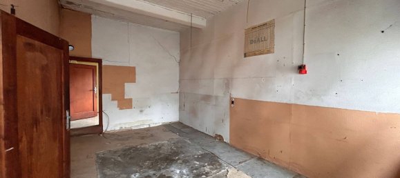 Здание с 5 комнатами в Ортенау, Германия № 51213 8