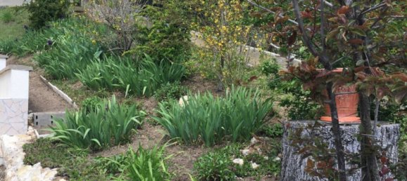 2 Schlafzimmer Haus in Loir-et-Cher, France, Nr. 93066 11