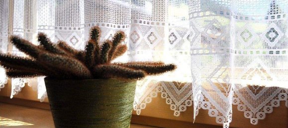 4 rooms Apartment in Alpbach, Austria No. 133028 30