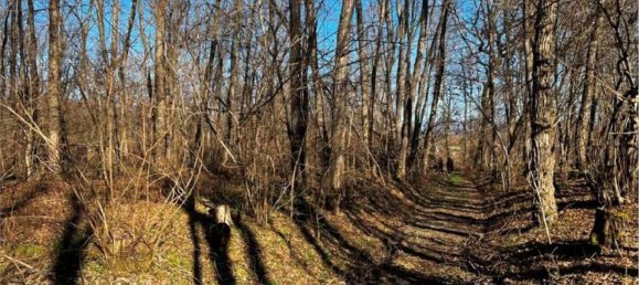 4626m² Land in Sernaglia della Battaglia, Italy No. 299579 7