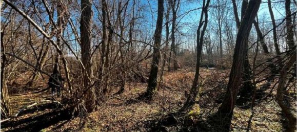 4626m² Land in Sernaglia della Battaglia, Italy No. 299579 4