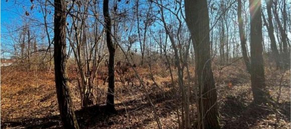 4626m² Land in Sernaglia della Battaglia, Italy No. 299579 5