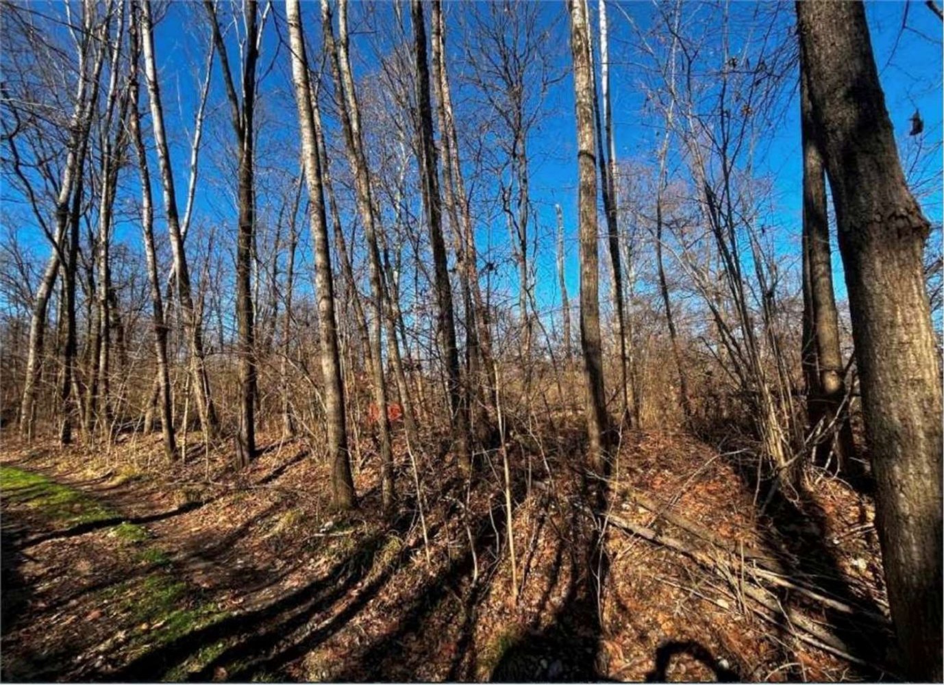 4626m² Land in Sernaglia della Battaglia, Italy No. 299579