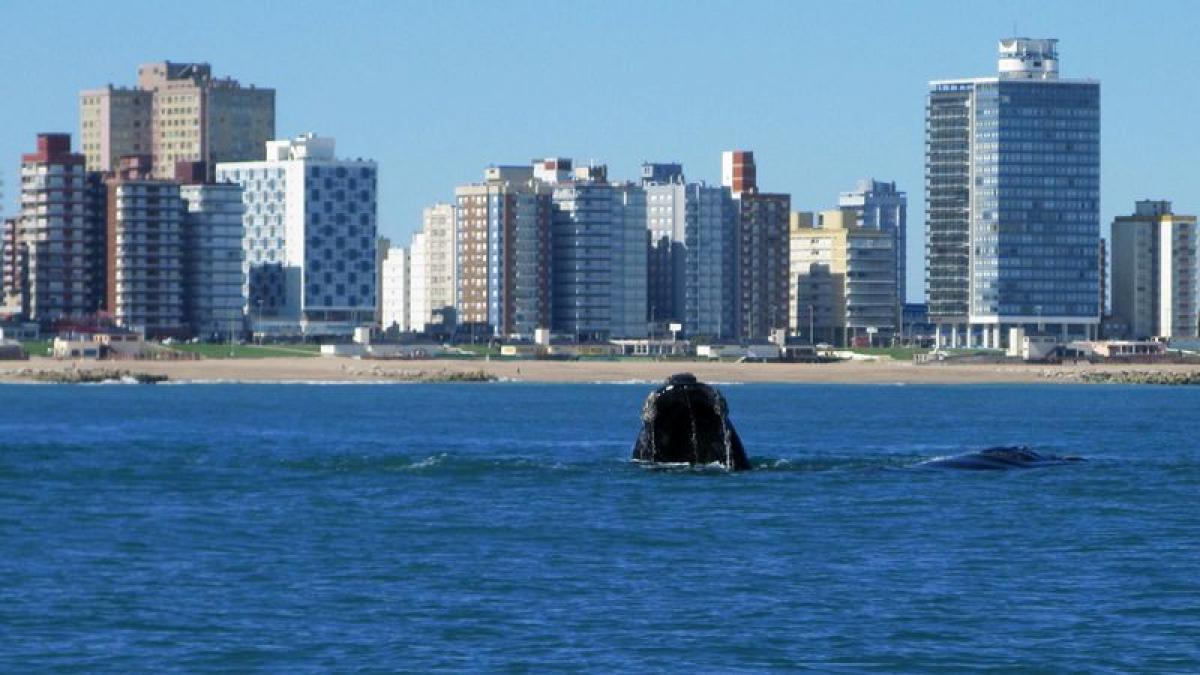  Land in Mar del Plata, Argentina No. 116924