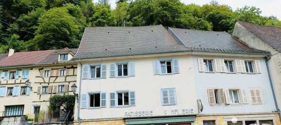448m² Building in Ferrette, France No. 212350 3