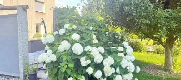 8 rooms House in Langen bei Bregenz, Austria No. 196399 36