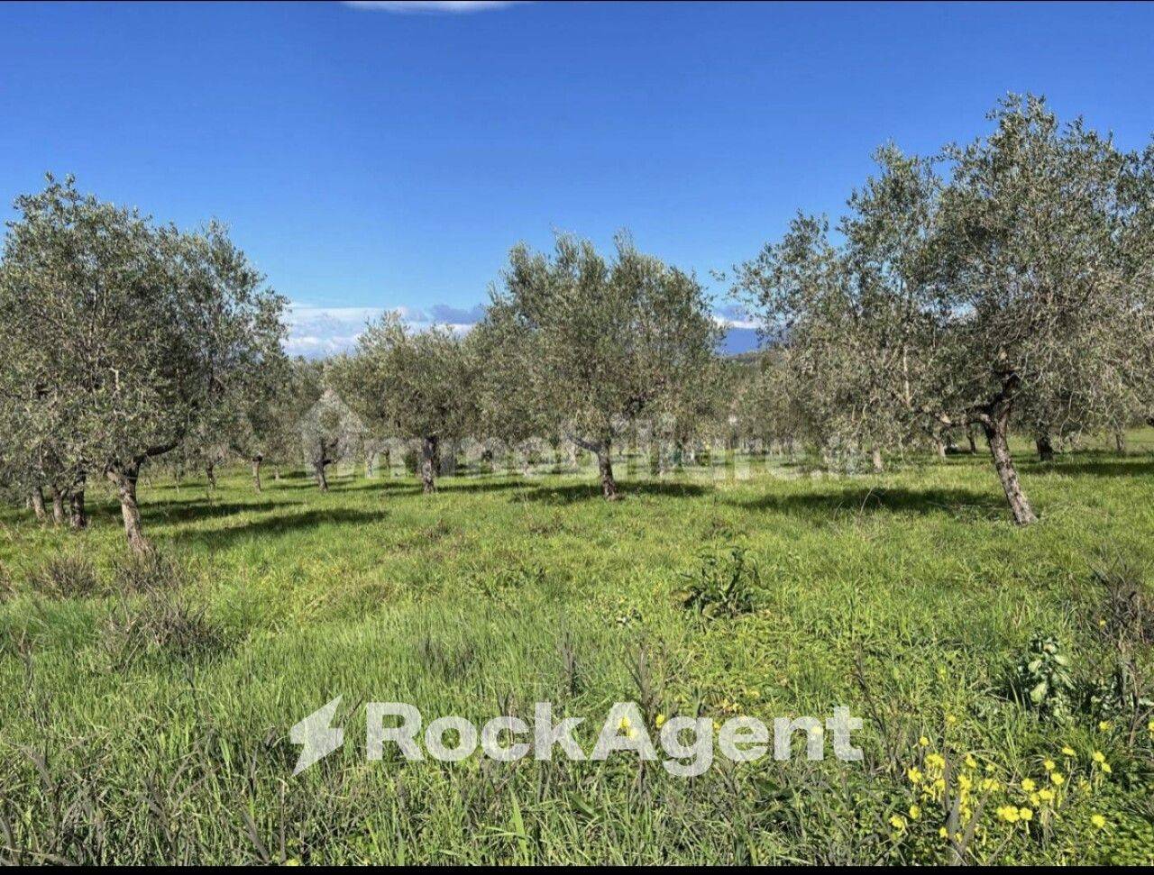 Terrain à Altavilla Silentina, Italy 5375m² No. 315820