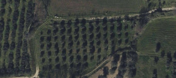 Terrain à Altavilla Silentina, Italy 5375m² No. 315820 2