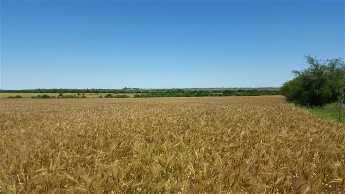 Terreno em Entre Rios, Argentina 21 m² N.º 31008