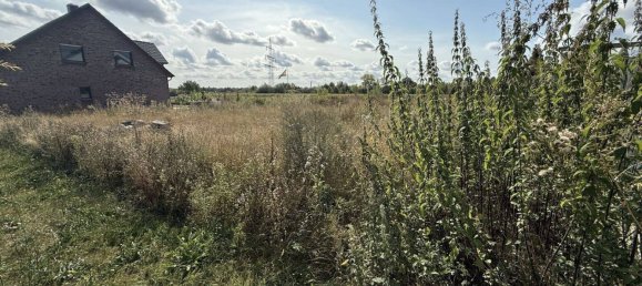 Terrain à Gifhorn, Germany No. 362554 5