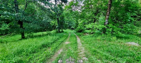 6غرفة فيلا في Chiusa di Pesio, Italy رقم 257963 14