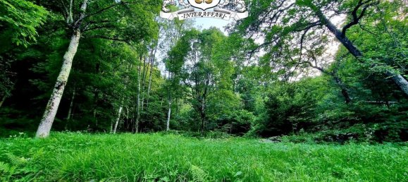 6غرفة فيلا في Chiusa di Pesio, Italy رقم 257963 7