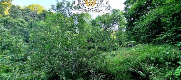 6غرفة فيلا في Chiusa di Pesio, Italy رقم 257963 13