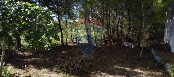 3 Schlafzimmer Villa in Vieste, Italy, Nr. 370819 19