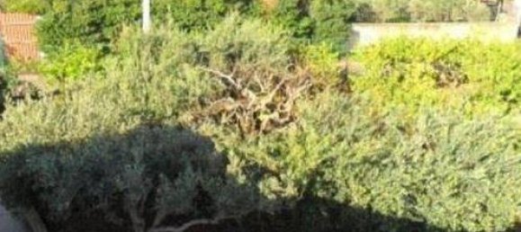 Villa de 3 divisões em Carini, Italy N.º 108801 3