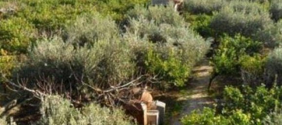 Villa de 3 divisões em Carini, Italy N.º 108801 10