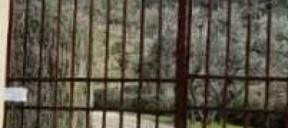 1 room Warehouse in Rufina, Italy No. 270776 7