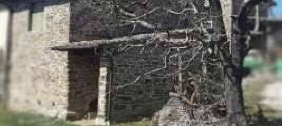 1 room Warehouse in Rufina, Italy No. 270776 4