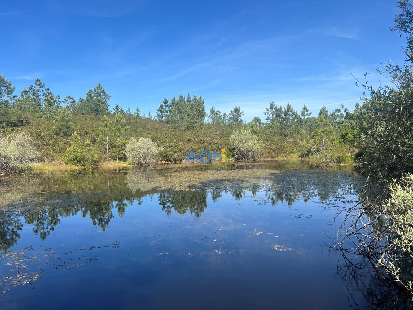  Land in Castelo Branco, Portugal No. 192451