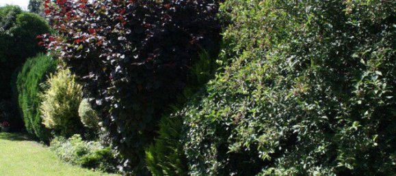 2 Schlafzimmer Haus in Stormarn, Germany, Nr. 289279 8