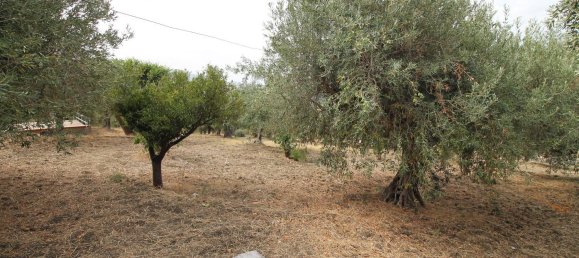 4 Schlafzimmer Villa in Termini Imerese, Italy, Nr. 323778 11