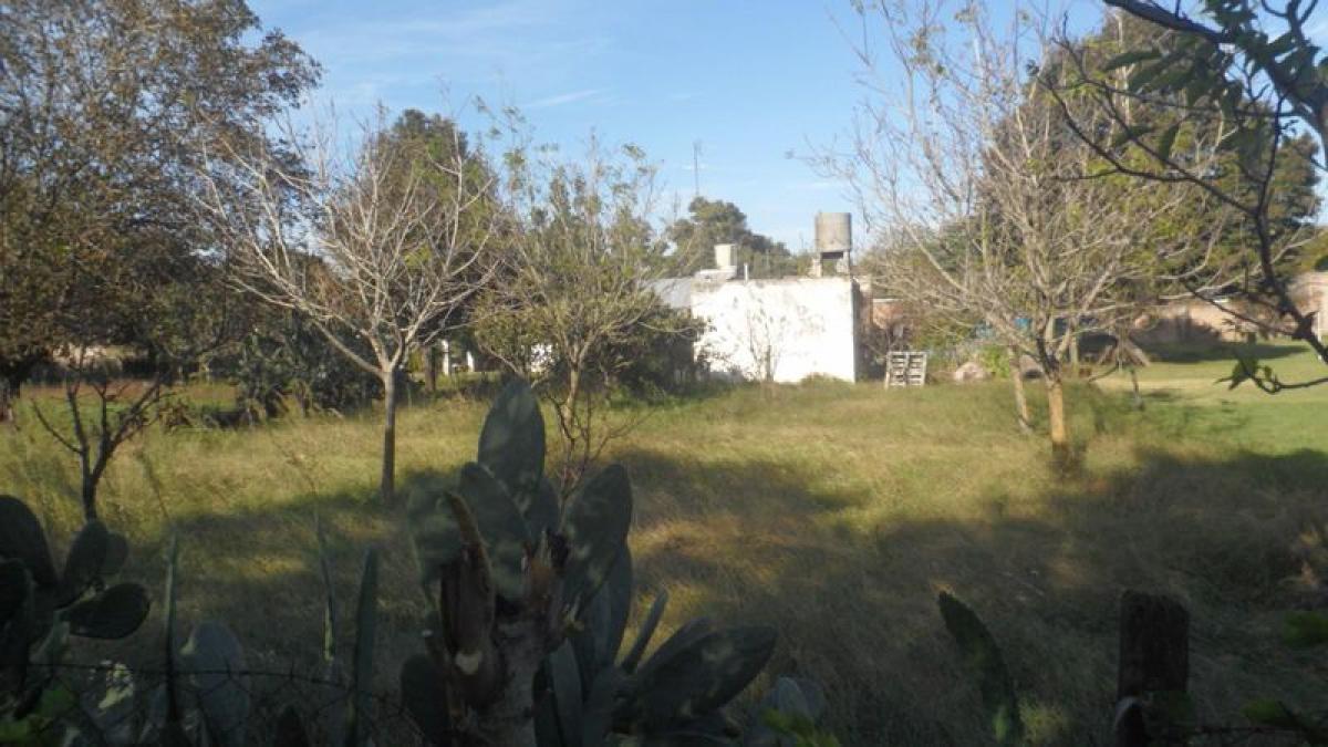  Land in Bermudez, Argentina No. 41704