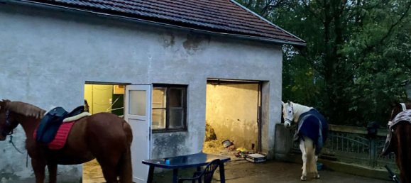 2 غرف نوم منزل في Muhldorf am Inn, Germany رقم 141357 17