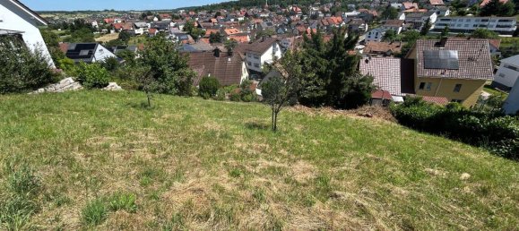 Земельный участок в Энц, Германия № 348832 2