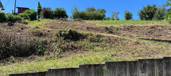 Земельный участок в Энц, Германия № 348832 3