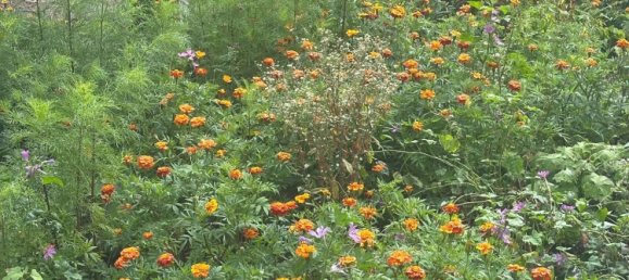 2 غرف نوم شقة في Wedding, Germany رقم 313329 4