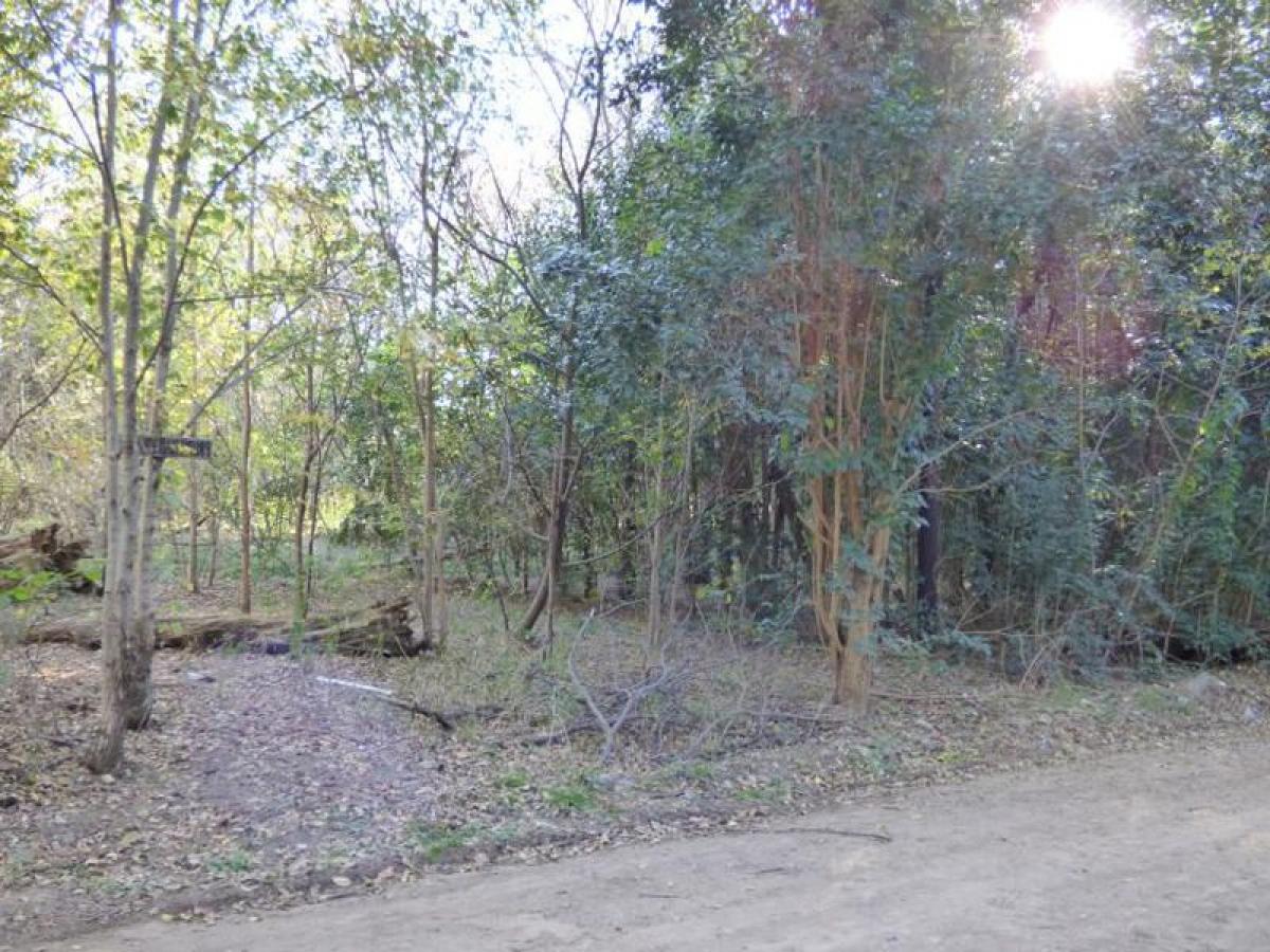  Land in Cordoba, Argentina No. 42827