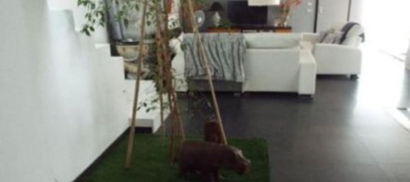 8 rooms Villa in Limbiate, Italy No. 6233 50