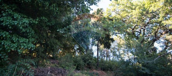 Casa de 4 divisões em Roccastrada, Italy N.º 258350 31