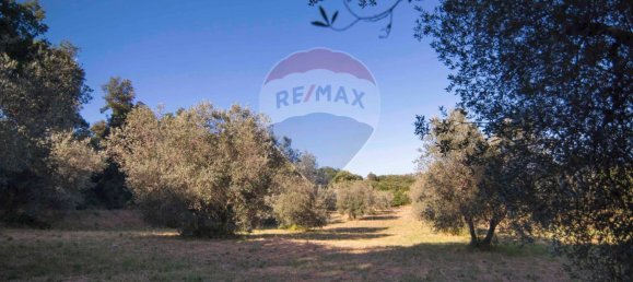 Casa de 4 divisões em Roccastrada, Italy N.º 258350 40