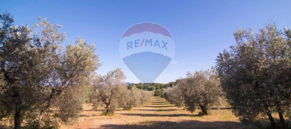 Casa de 4 divisões em Roccastrada, Italy N.º 258350 42